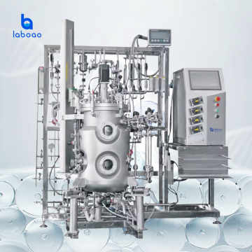 Laboao Industrial Cell Culture Fermentors: 7L to 5000L Bioreactors & Pricing