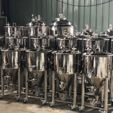 Home Brew Small Single Fermenter System