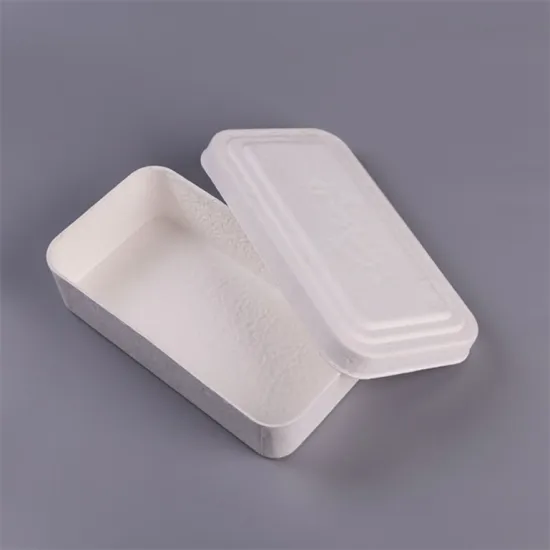 Eco-friendly bagasse pulp molded packaging box for clothes