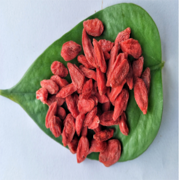 Ningxia Certified Hot sale Dried Organic Goji berry