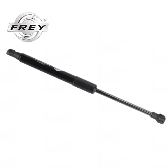 Frey Car Engine Hood 51237008745 for BMW E60