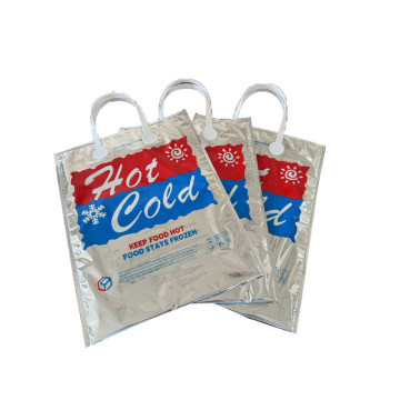 Temperature control bag for beach trips