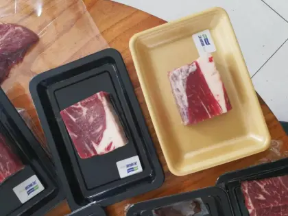 Imported Plasticizer for Flexible PVC Products