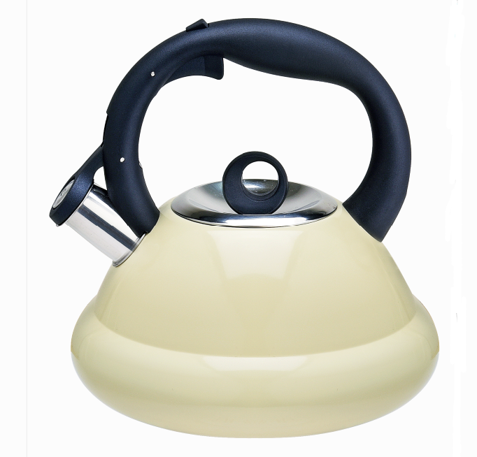 Stainless Steel Whistling Tea Kettle Fh 458c