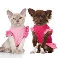 Dog Dresses for Cute Girl Female Do