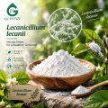 Lecanicillium Lecanii مكون فطري ممرض للحشرات