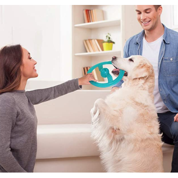 Dog Frisbee Interactive Flying Disc Pet Leksaker