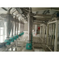 300tons of Wheat Flour Mill Machine Building Structure