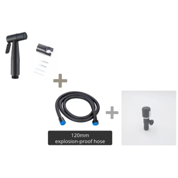 SUS304 Stainless Steel Hand-held Sprayer for Toilet and Bath