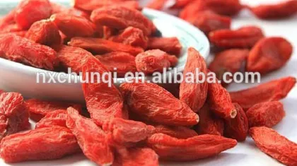 NingXIa low price dried fresh goji berries