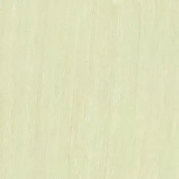 Porcelain Ceramic Tiles,Digital Ceramics,Floor