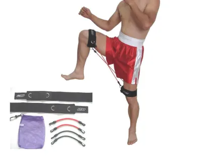 taekwondo kick training target