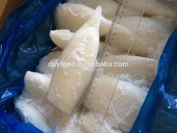 U5 Frozen Illex squid Tube