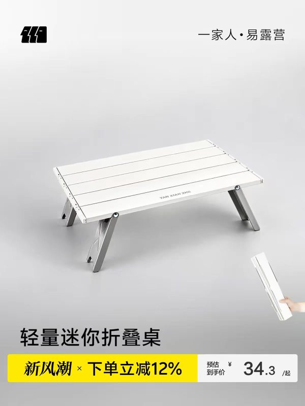 Lightweight Mini Folding Camping Table