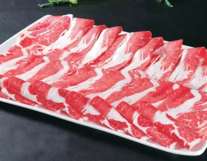 Home Use Electric Meat Slicer for Deli Meats and Bacon - USA Price