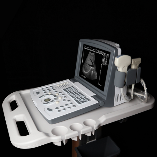 Animal Veterinary Ultrasound Machine Cheap Portable black and white Diagnostic Ultrasound scanner Factory