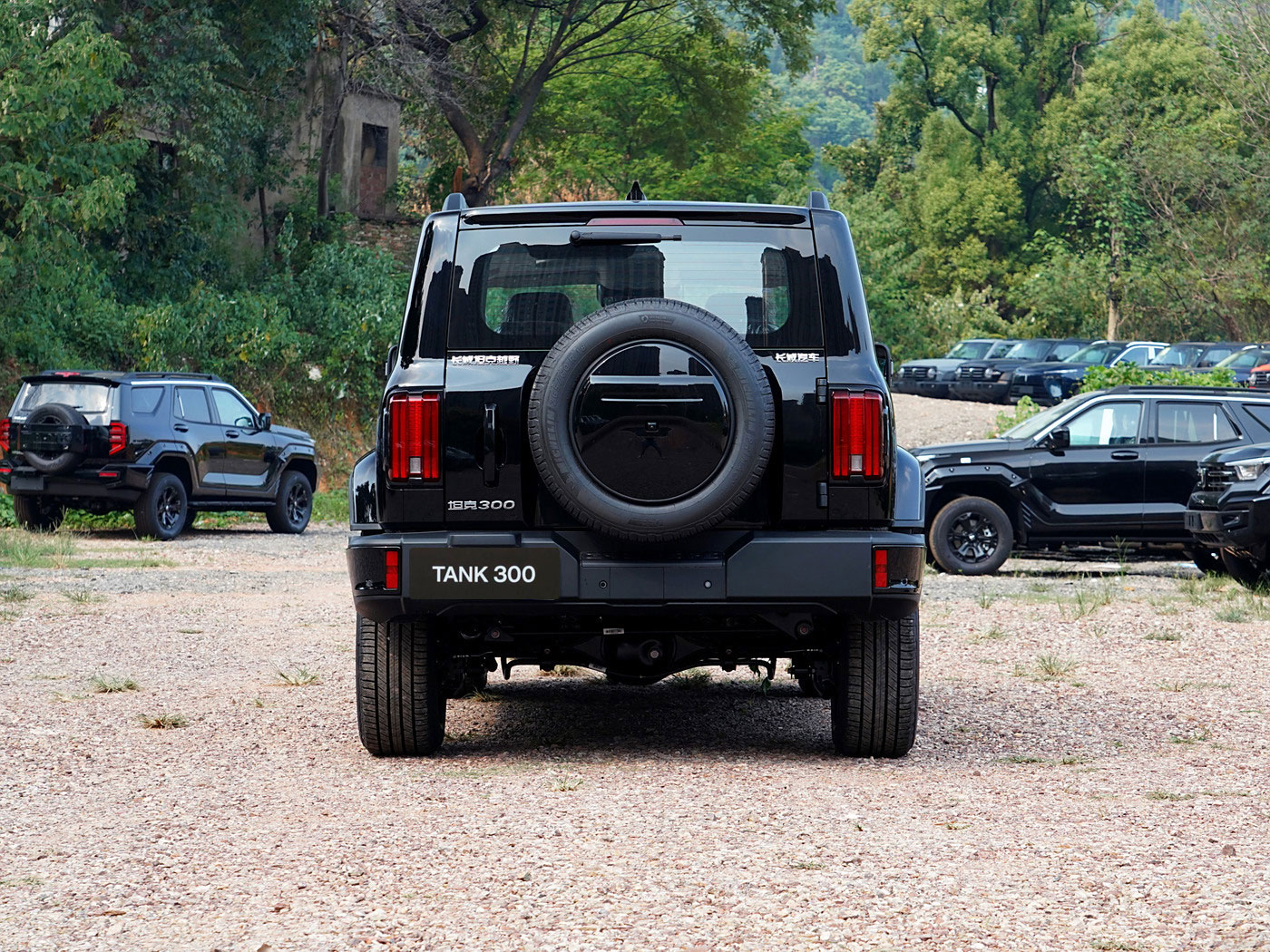 Hot sells Tank 300 Dark Grey 4WD SUV