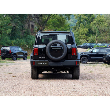 Hot sells Tank 300 Dark Grey 4WD SUV