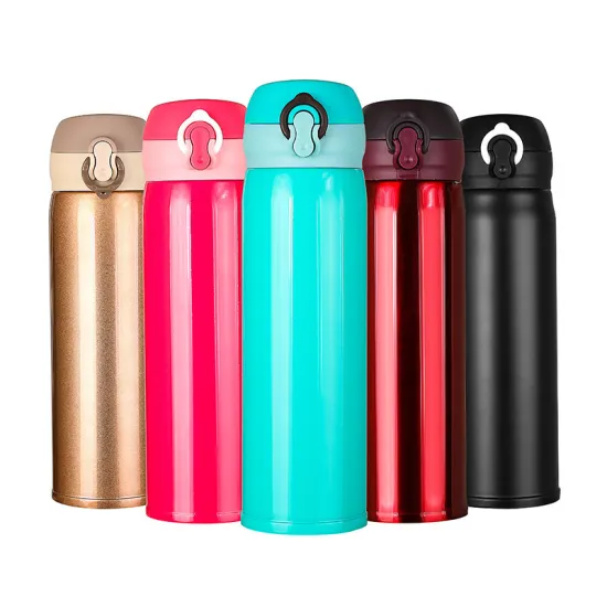 Stainless Steel Drink Bottle 500ML with Flip Top, Vacuum Flask, Coffee Mug & Straw - Thermal Insulated Hot Water Bottle