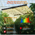 CE Certification Hydroponics Full Spectrum 1000w Grow Lights