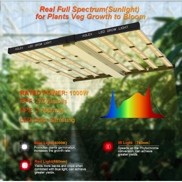 Certificación CE Hydroponics Full Spectrum 1000W Crece luces