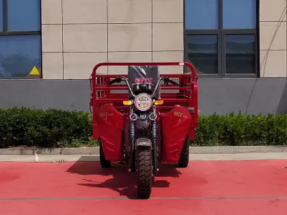 Advanced Three-Wheeled Electric Vehicle for Modern Use