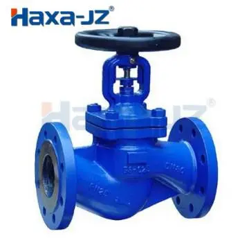 Bellows Type Globe Valve