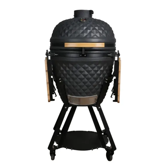 Auplex 21 Inch Charcoal Kamado BBQ Grill for Outdoor Barbecue