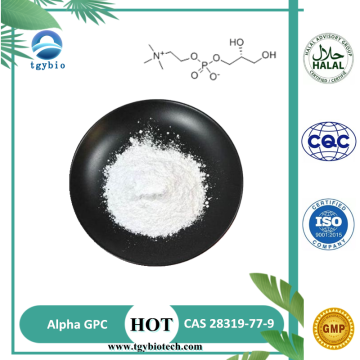 Kesucian tinggi 99% GPC Alpha untuk suplemen nootropik