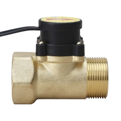 Electronic Magnetic Pipe Flow Switch Pump Small Flow Switch Price