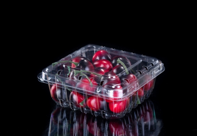 Vented plastic Clamshell Vegetable Containers