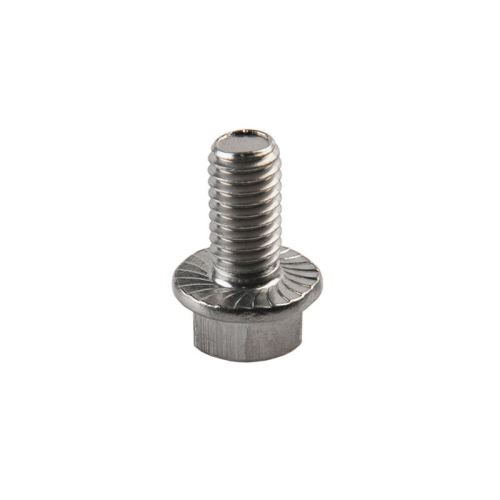 DIN 6921 Stainless Steel Hex Flange Bolt DIN6921