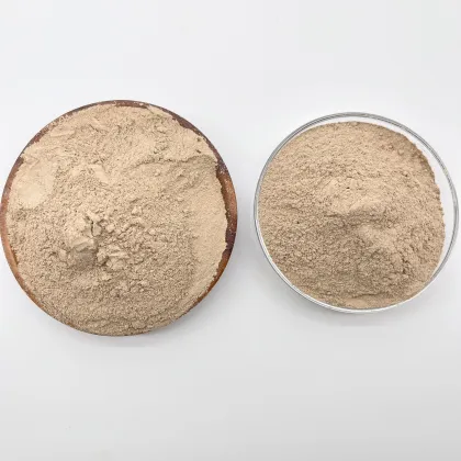 Bio Bacteria Formula in Water Treatment Applications