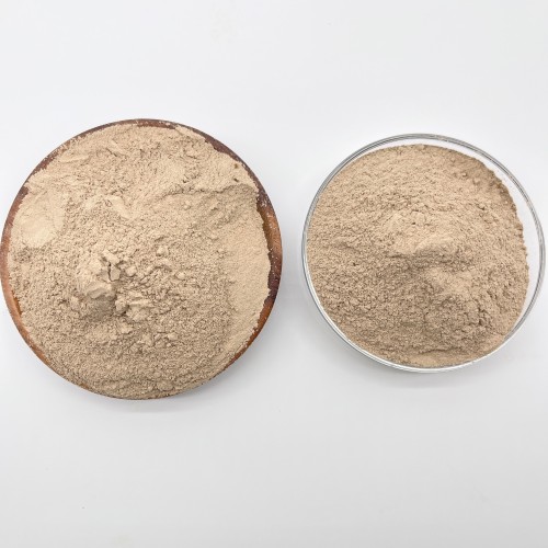 Bio -Bakterienformel in Wasserbehandlungsanwendungen