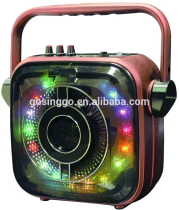 Portable speaker with FM radio