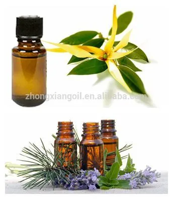 Pure Body Naturals Aromatherapy essential oil set 6 100% pure natural