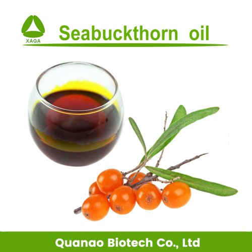 Liver Protect Material Seabuckthorn Seed / Fruit Oil Liver Health Material Factory