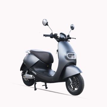 Malaysia's Handicapped-Friendly Electric Scooter: Citycoco EEC Drifting Scuter Price Inquiry