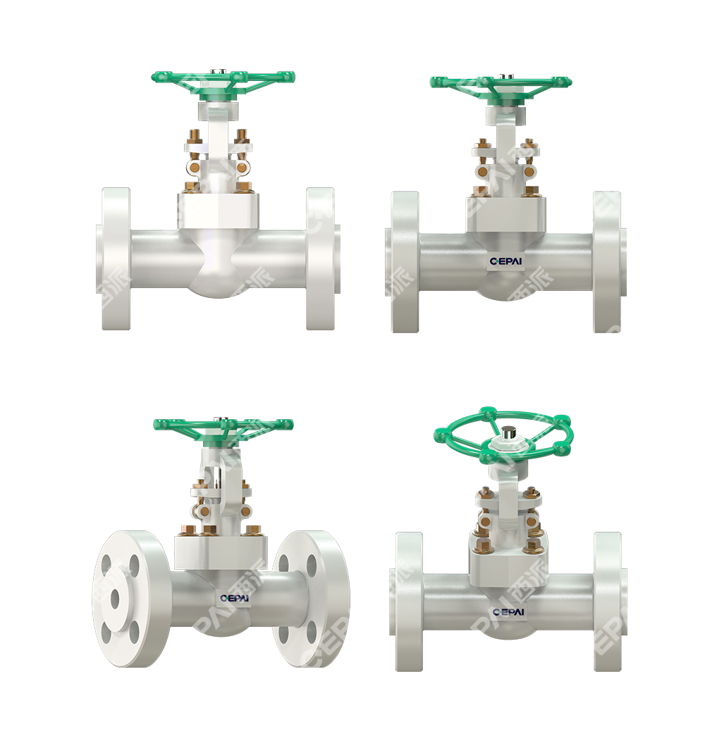 Forged Wedge Gate Valve011