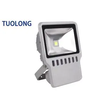 50W High Power integrated Light Sources for Floodlight