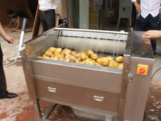 Easily Operated 300-500kg/h potato chips washer machine In Nepal