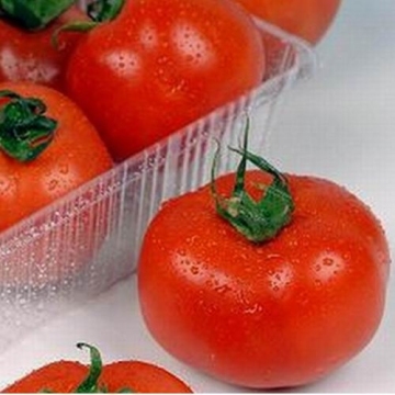 TM562 Tomato seed