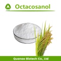 Rice Bran Wax Extract Octacosanol 90% Policosanol 99%