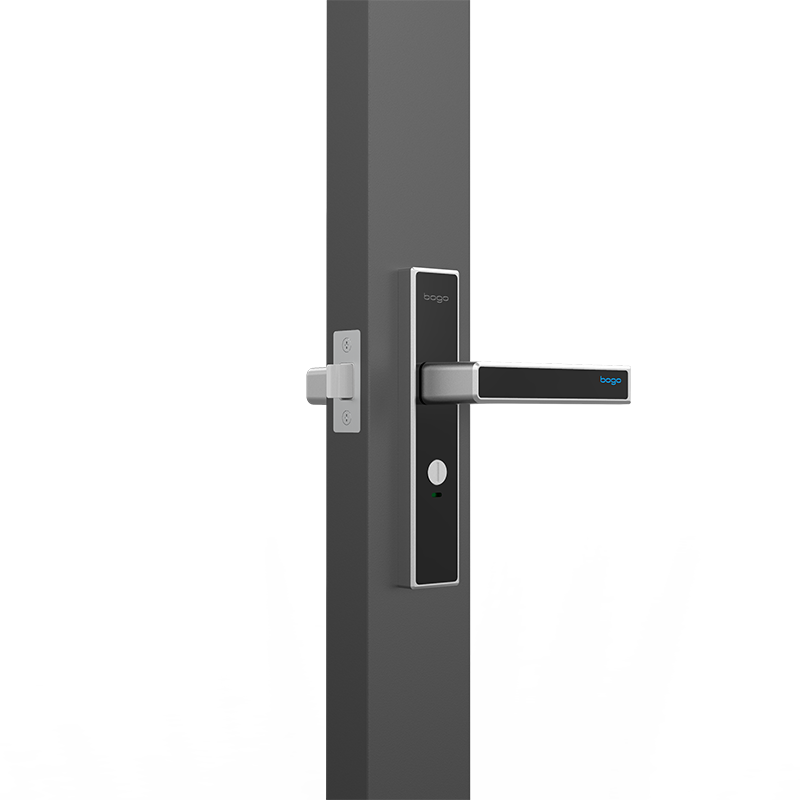 Electronic Door Handle