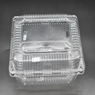 High Quality Disposable Plastic Fresh Fruit Container