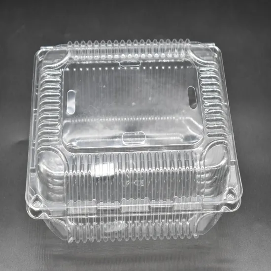 High Quality Disposable Plastic Fresh Fruit Container