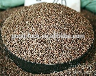 Brown China Perilla Seed Brown, 2014 Crop