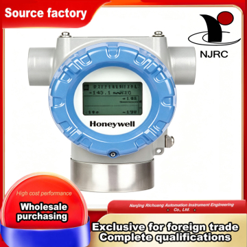 FOUNDATION Fieldbus Remote Display Head