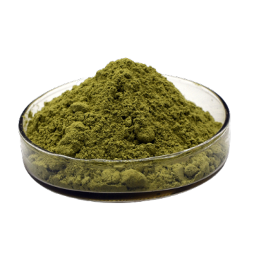 Herbal extract moringa leaf extract