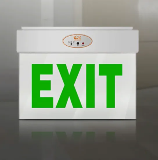 ABS exit sign for evacuation door